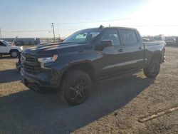 Chevrolet Silverado k1500 lt Trail salvage cars for sale: 2023 Chevrolet Silverado K1500 LT Trail Boss