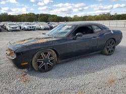 Dodge Challenger salvage cars for sale: 2013 Dodge Challenger SXT