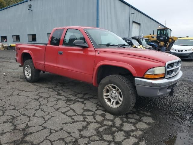 2004 Dodge Dakota SLT