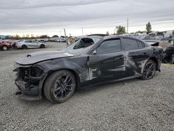 Dodge Charger salvage cars for sale: 2023 Dodge Charger GT