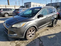 Ford Escape salvage cars for sale: 2016 Ford Escape Titanium