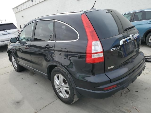 2010 Honda CR-V EXL