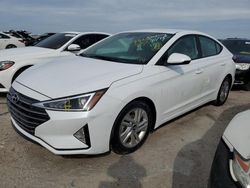 Hyundai Elantra salvage cars for sale: 2019 Hyundai Elantra SEL