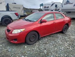 Toyota salvage cars for sale: 2010 Toyota Corolla Base