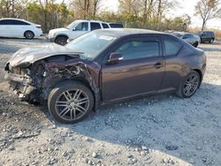 Scion salvage cars for sale: 2013 Scion TC