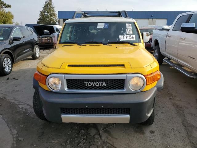 2007 Toyota FJ Cruiser