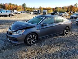 Honda Accord Vehiculos salvage en venta: 2016 Honda Accord EXL