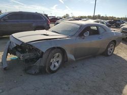 Dodge Challenger salvage cars for sale: 2012 Dodge Challenger SXT