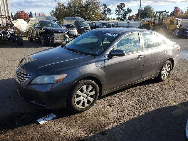 2008 Toyota Camry Hybrid