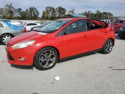 Ford Focus salvage cars for sale: 2014 Ford Focus SE