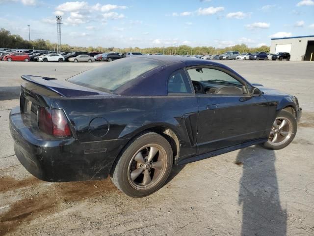 2000 Ford Mustang