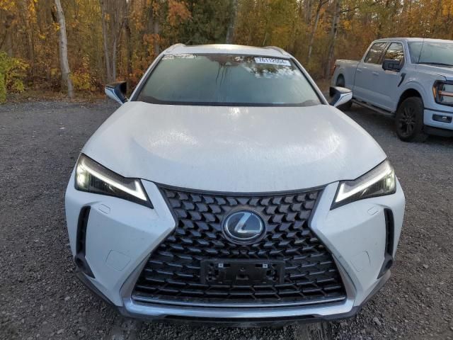 2024 Lexus UX 250H Premium