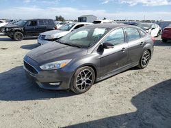 Ford Focus salvage cars for sale: 2016 Ford Focus SE