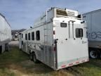2014 Bision Horse Camp