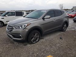 Hyundai Santa fe salvage cars for sale: 2017 Hyundai Santa FE Sport