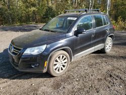 Volkswagen salvage cars for sale: 2009 Volkswagen Tiguan SE