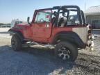 1993 Jeep Wrangler / YJ