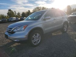 Honda crv salvage cars for sale: 2011 Honda CR-V EXL