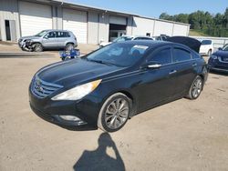 Hyundai Sonata salvage cars for sale: 2013 Hyundai Sonata SE