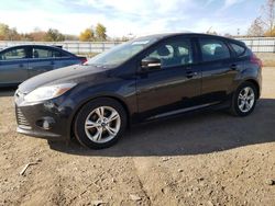 Ford Focus se salvage cars for sale: 2014 Ford Focus SE