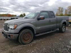 Ford f-150 salvage cars for sale: 2012 Ford F150 Super Cab