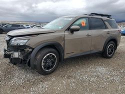 Nissan Pathfinder salvage cars for sale: 2024 Nissan Pathfinder Rock Creek