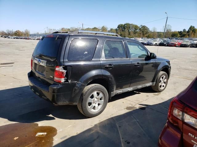 2011 Ford Escape Limited