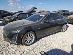 Cadillac ct5 salvage cars for sale: 2023 Cadillac CT5 Luxury