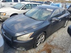 Nissan Maxima salvage cars for sale: 2009 Nissan Maxima S