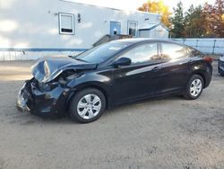 Hyundai Elantra salvage cars for sale: 2016 Hyundai Elantra SE