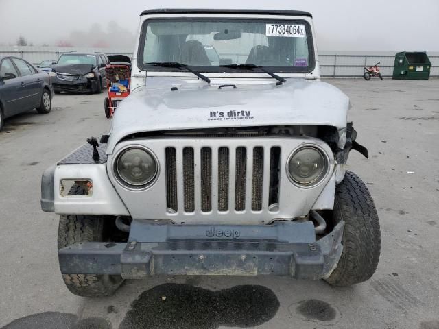 2002 Jeep Wrangler / TJ X