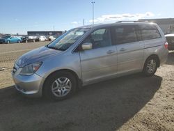 Honda Odyssey exl salvage cars for sale: 2005 Honda Odyssey EXL