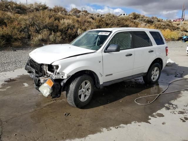 2008 Ford Escape HEV