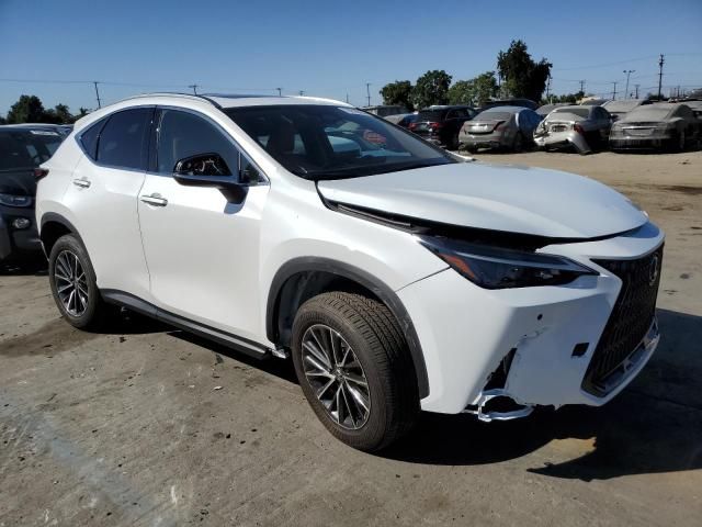 2024 Lexus NX 350 Premium