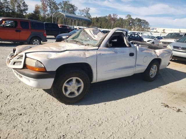 2001 Dodge Dakota