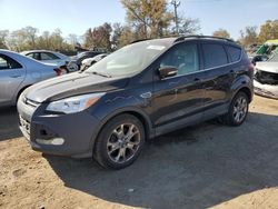 Ford Escape salvage cars for sale: 2013 Ford Escape SEL