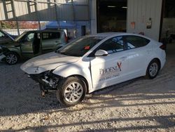 Hyundai Elantra salvage cars for sale: 2020 Hyundai Elantra SE