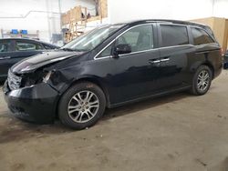 Honda Odyssey exl salvage cars for sale: 2013 Honda Odyssey EXL