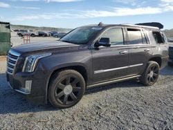 Cadillac salvage cars for sale: 2017 Cadillac Escalade Platinum