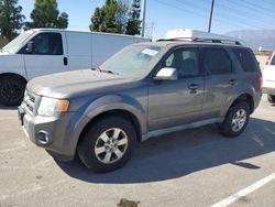 Ford Escape salvage cars for sale: 2010 Ford Escape Limited