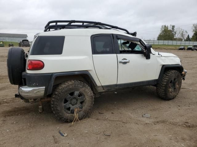 2010 Toyota FJ Cruiser