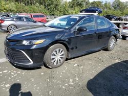 Toyota salvage cars for sale: 2023 Toyota Camry LE