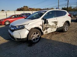 Honda crv salvage cars for sale: 2019 Honda CR-V EXL