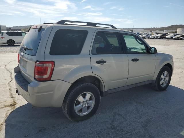 2009 Ford Escape XLT