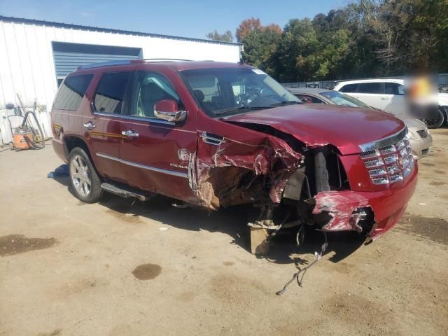 2010 Cadillac Escalade Luxury