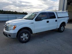 Ford salvage cars for sale: 2011 Ford F150 Supercrew