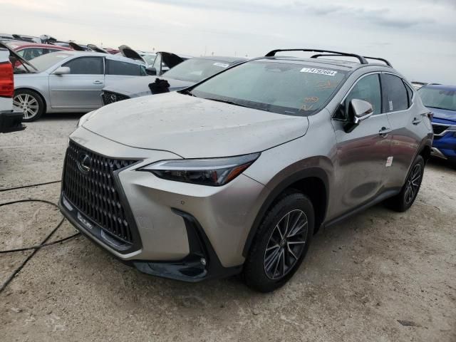 2025 Lexus NX 250 Premium