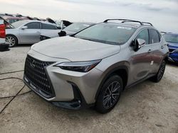 Lexus salvage cars for sale: 2025 Lexus NX 250 Premium