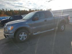 Ford f-150 salvage cars for sale: 2011 Ford F150 Super Cab