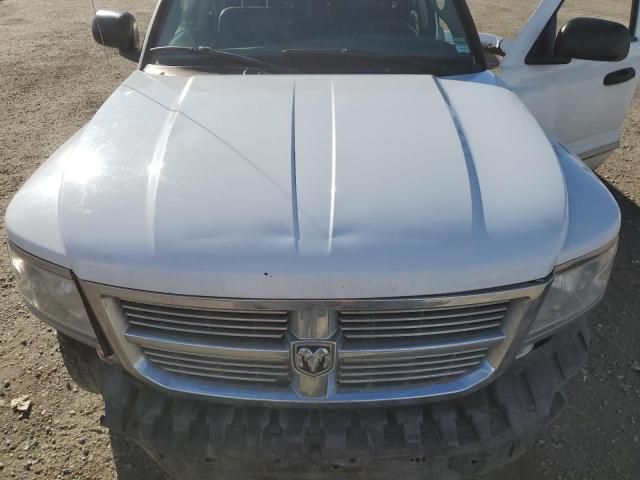 2010 Dodge Dakota Laramie